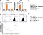 CD11b Antibody in Flow Cytometry (Flow)