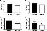 CD4 Antibody in Flow Cytometry (Flow)