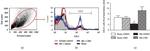 GILZ Antibody in Flow Cytometry (Flow)