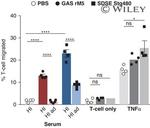 CD3 Antibody in Flow Cytometry (Flow)