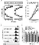 CD16/CD32 Antibody in Neutralization (Neu)