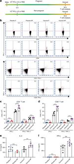 TNF alpha Antibody in Flow Cytometry (Flow)