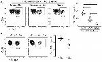 CD4 Antibody in Flow Cytometry (Flow)