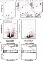 CD4 Antibody in Flow Cytometry (Flow)