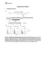 CD11c Antibody in Flow Cytometry (Flow)