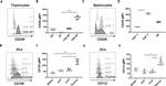 CD4 Antibody in Flow Cytometry (Flow)