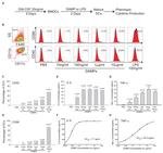 CD86 (B7-2) Antibody in Flow Cytometry (Flow)