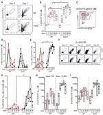 CD20 Antibody in Flow Cytometry (Flow)