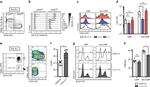 CD25 Antibody in Flow Cytometry (Flow)