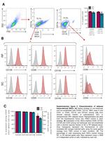 CD29 (Integrin beta 1) Antibody in Flow Cytometry (Flow)