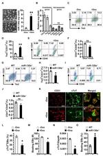 CD41a Antibody in Flow Cytometry (Flow)