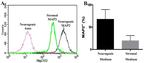 MAP2 Antibody in Flow Cytometry (Flow)