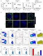 CD4 Antibody in Flow Cytometry (Flow)