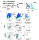 CD45.2 Antibody in Flow Cytometry (Flow)