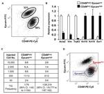 CD49f (Integrin alpha 6) Antibody in Flow Cytometry (Flow)