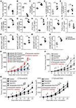 MHC Class II (I-A/I-E) Antibody in Flow Cytometry (Flow)