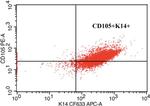 CD105 (Endoglin) Antibody in Flow Cytometry (Flow)