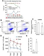 CD140a (PDGFRA) Antibody in Flow Cytometry (Flow)