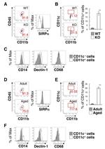 CD172a (SIRP alpha) Antibody in Flow Cytometry (Flow)