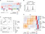 IRF7 Antibody in Flow Cytometry (Flow)