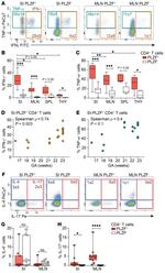 IL-17A Antibody in Flow Cytometry (Flow)