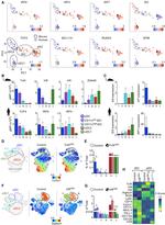 CD11c Antibody in Flow Cytometry (Flow)