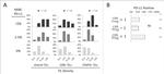 FOXP3 Antibody in Immunohistochemistry (IHC)