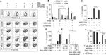 iNOS Antibody in Flow Cytometry (Flow)