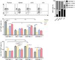 NK1.1 Antibody in Flow Cytometry (Flow)