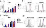 MHC Class I (H-2Kb) Antibody in Flow Cytometry (Flow)