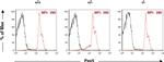 PAX5 Antibody in Flow Cytometry (Flow)