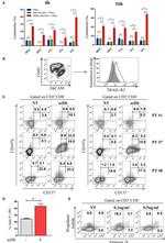 Perforin Antibody in Flow Cytometry (Flow)