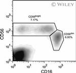 CD16 Antibody in Flow Cytometry (Flow)