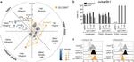 CD261 (DR4) Antibody in Flow Cytometry (Flow)