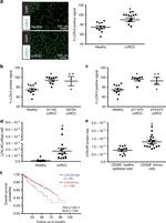 SLC22A17 Antibody in Flow Cytometry (Flow)