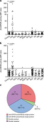 SR-BI Antibody in Flow Cytometry (Flow)