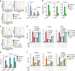 SR-BI Antibody in Flow Cytometry (Flow)