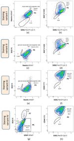 SOX2 Antibody in Flow Cytometry (Flow)