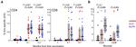 CD14 Antibody in Flow Cytometry (Flow)