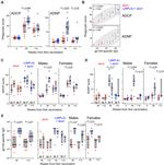 CD14 Antibody in Flow Cytometry (Flow)