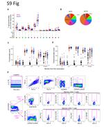 CD14 Antibody in Flow Cytometry (Flow)