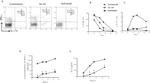 CD3e Antibody in ELISA (ELISA)