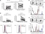 CD279 (PD-1) Antibody in Flow Cytometry (Flow)