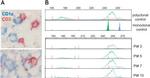 CD3 Antibody in Immunohistochemistry (IHC)