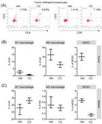 FOXP3 Antibody in Flow Cytometry (Flow)