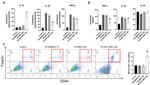 CD4 Antibody in Flow Cytometry (Flow)