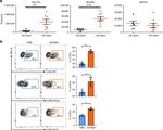 CD86 (B7-2) Antibody in Flow Cytometry (Flow)