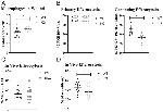 CD11b Antibody in Flow Cytometry (Flow)