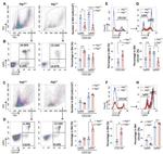 CD11b Antibody in Flow Cytometry (Flow)