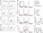 FOXP3 Antibody in Flow Cytometry (Flow)